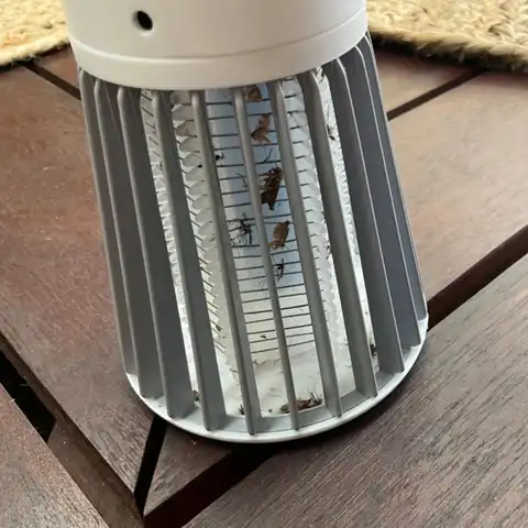 Familia disfrutando al aire libre sin mosquitos